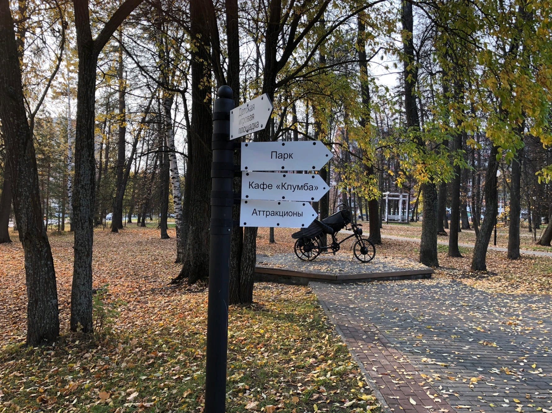 Саров парк зернова